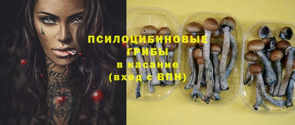 герыч Бородино