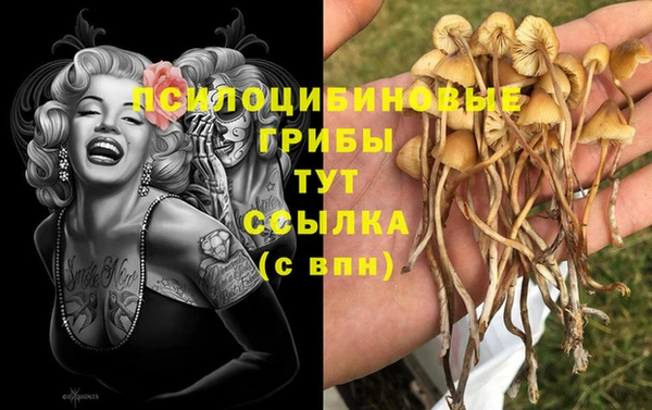 бошки Бронницы