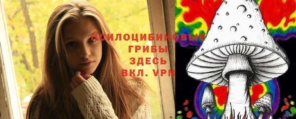 бошки Бронницы